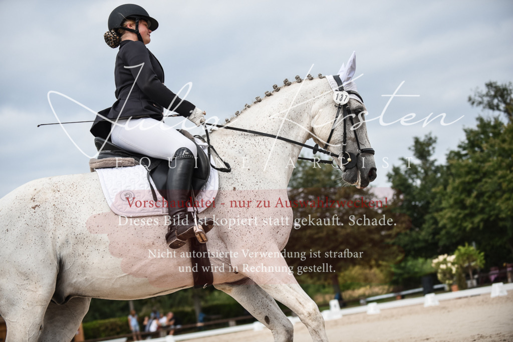 DSC_8510 | Pferde- und Turnierfotografie in Westsachsen. Pferdeportraits, Auftragszeichnungen und intuitive Kunst.