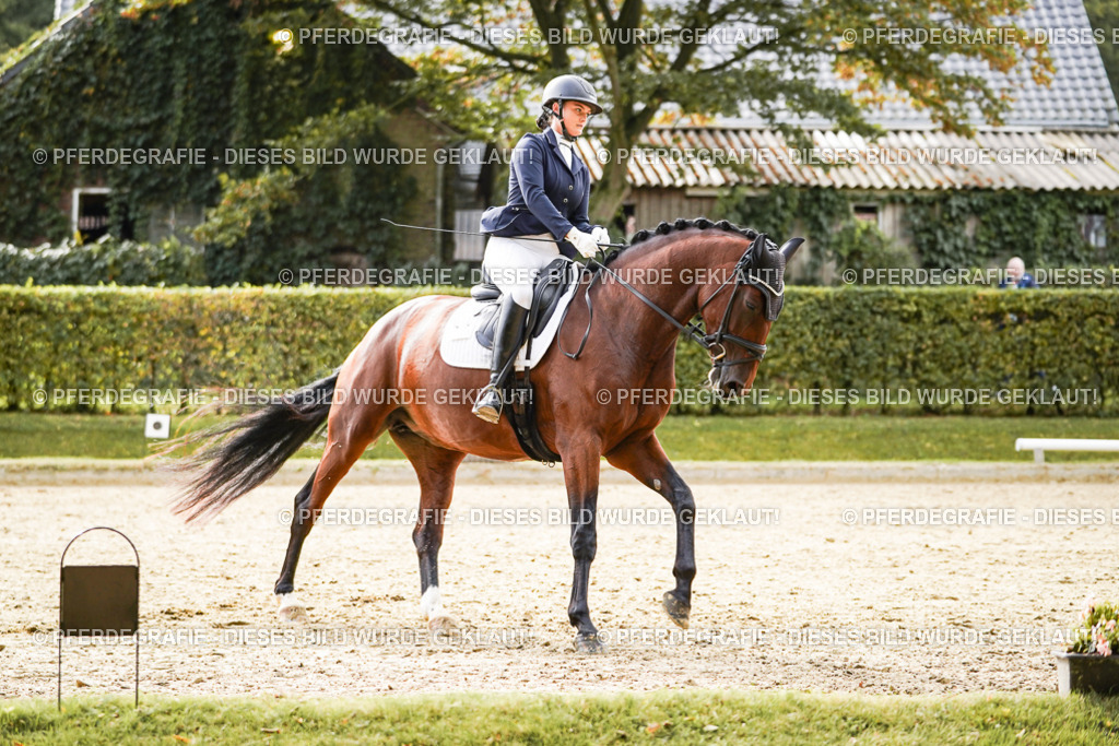 DSC09494 | Pferdegrafie