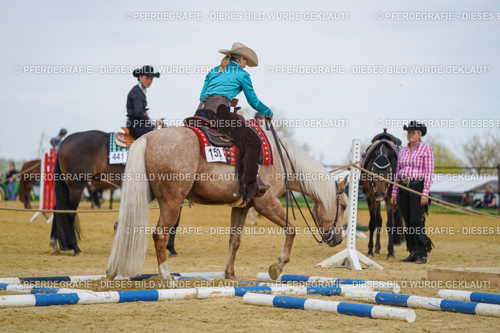 DSC05360 | Pferdegrafie