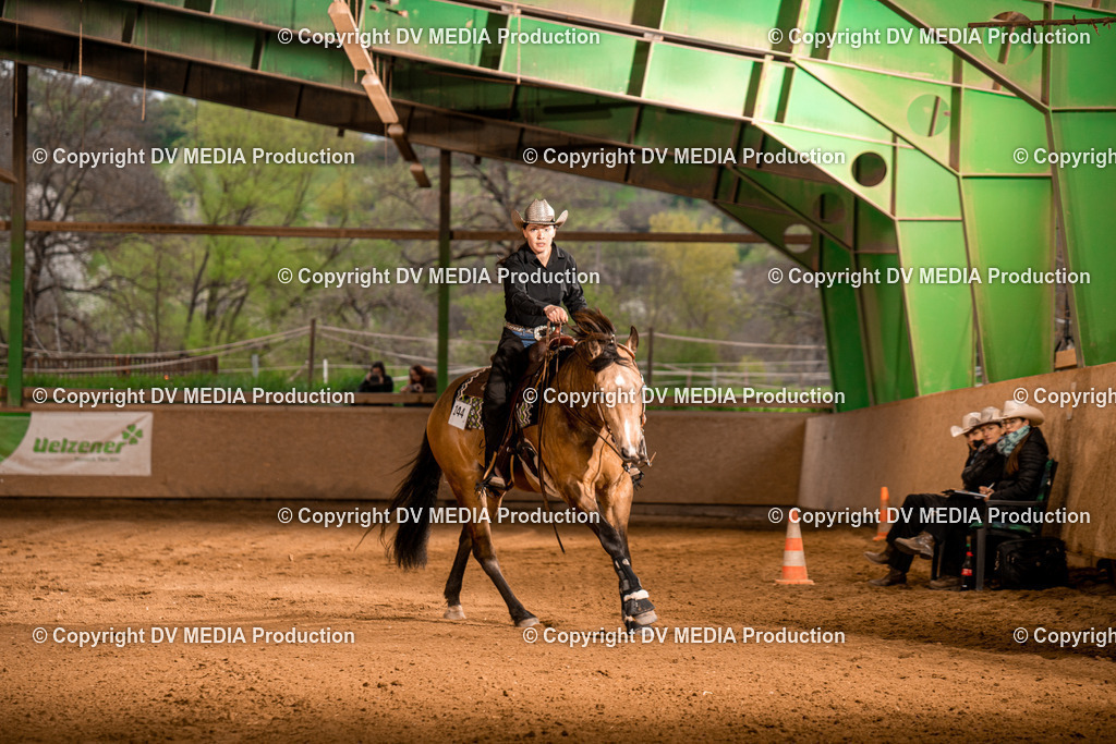 BA301307 | dv-media-shop - Realisiert mit Pictrs.com