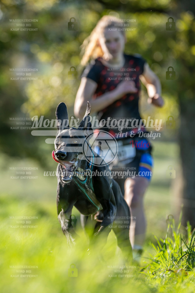 MompixPhotography_20TSB_E3_Run-188 | PayLife