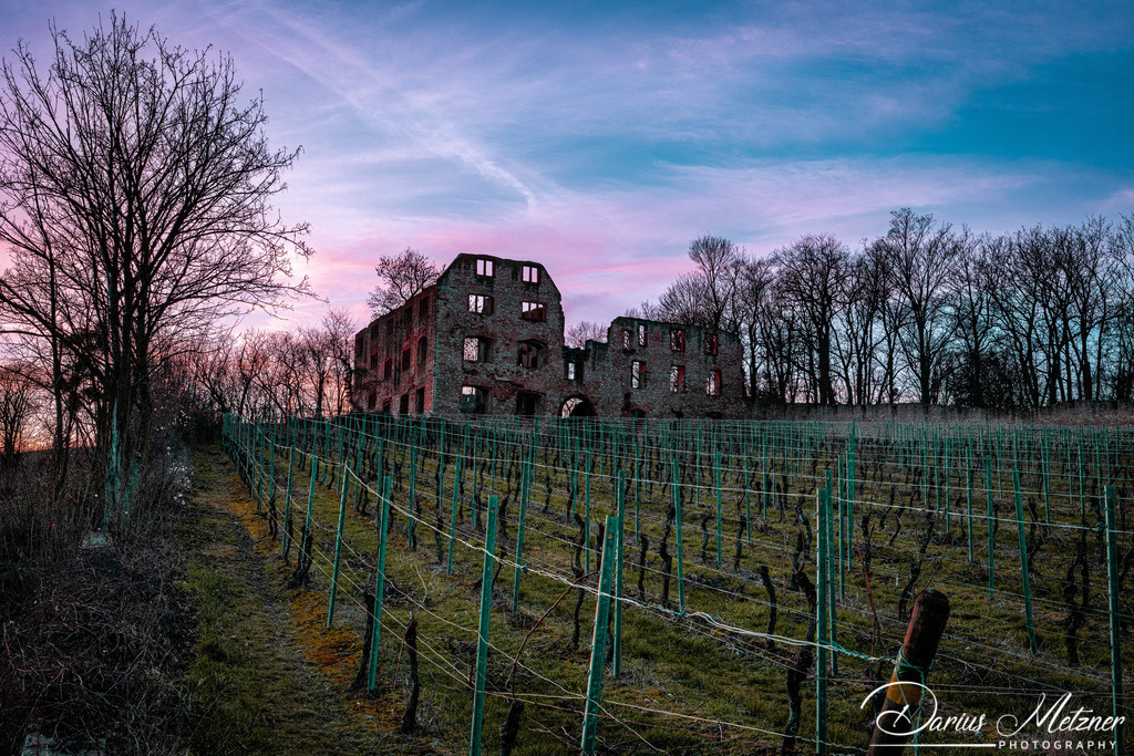 DSC_1869 | Fotografien, Fotos und Bilder aus Mainz, Frankfurt, Wiesbaden und anderen Orten auf der Welt - Fotografiert von Darius Metzner