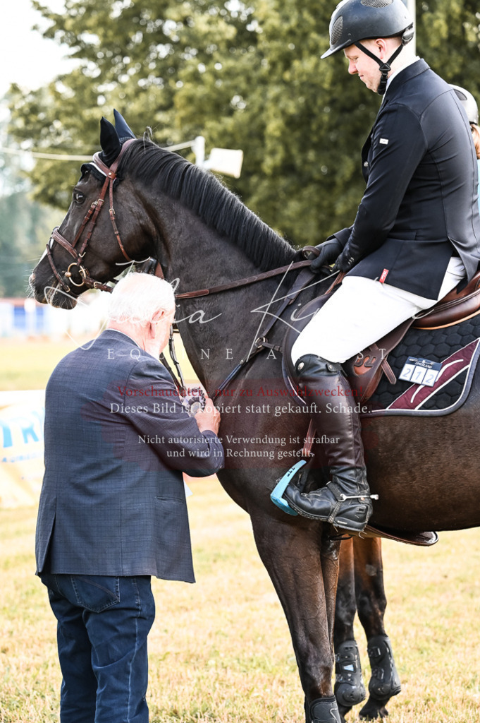 DSC_7650 | Pferde- und Turnierfotografie in Westsachsen. Pferdeportraits, Auftragszeichnungen und intuitive Kunst.