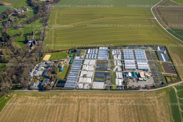 Heiligenhaus240301922 | Luftbild, Michael Schulz Baumschule, Gewächshäuser, Leubeck, Heiligenhaus, Ruhrgebiet, Nordrhein-Westfalen, Deutschland
