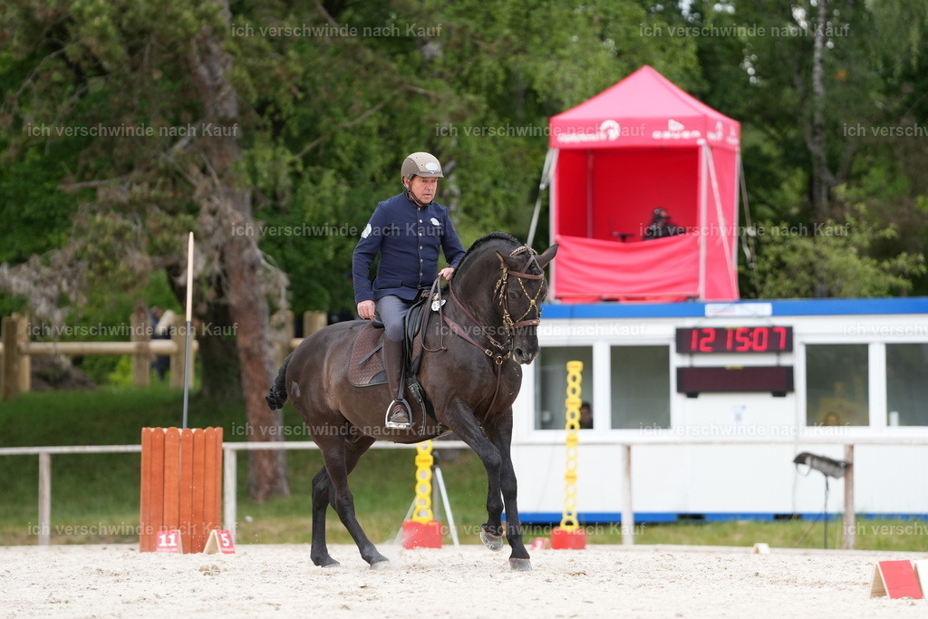 PI26_ST_Jan_Picutures7C_08144.JPG | working equitationturnier fotograf videograf stoibphotography marixx film working equitation deutschland reitsport turnierfotografie eventfotografie equestrian events