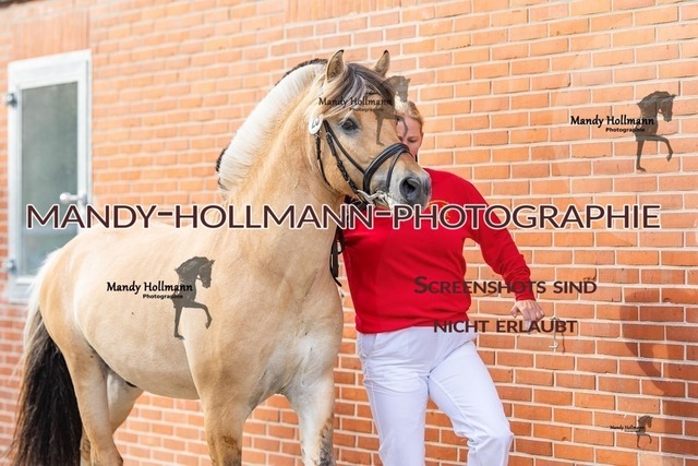 21-2 | mandyhollmannphotographie