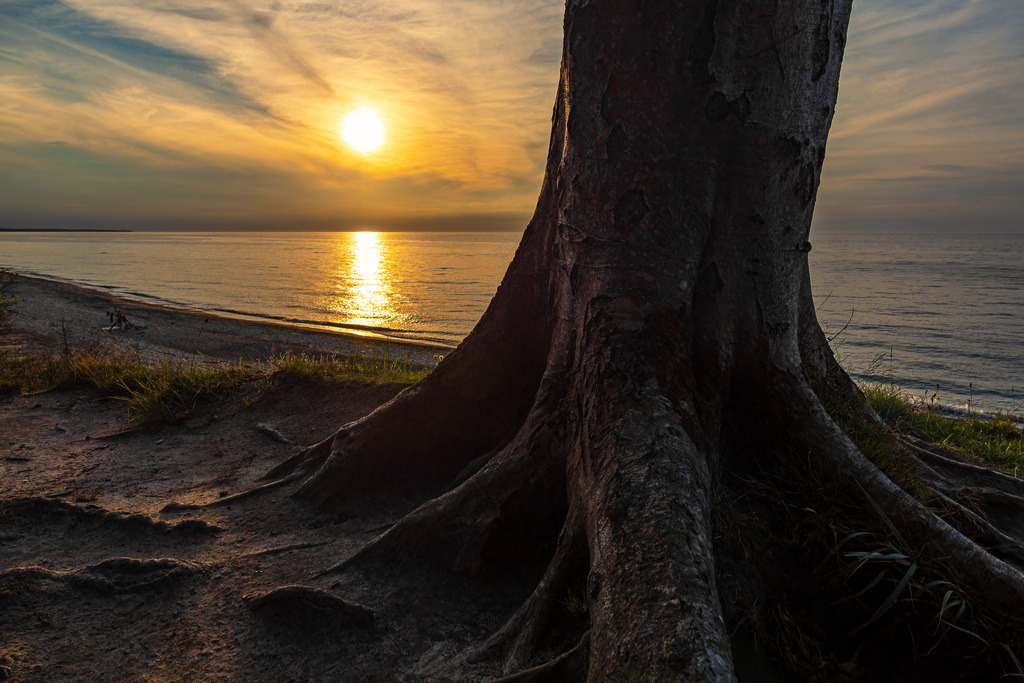 Sonnenuntergang am Küstenwald an der Ostsee bei Nienhagen | Sonnenuntergang am Küstenwald an der Ostsee bei Nienhagen.