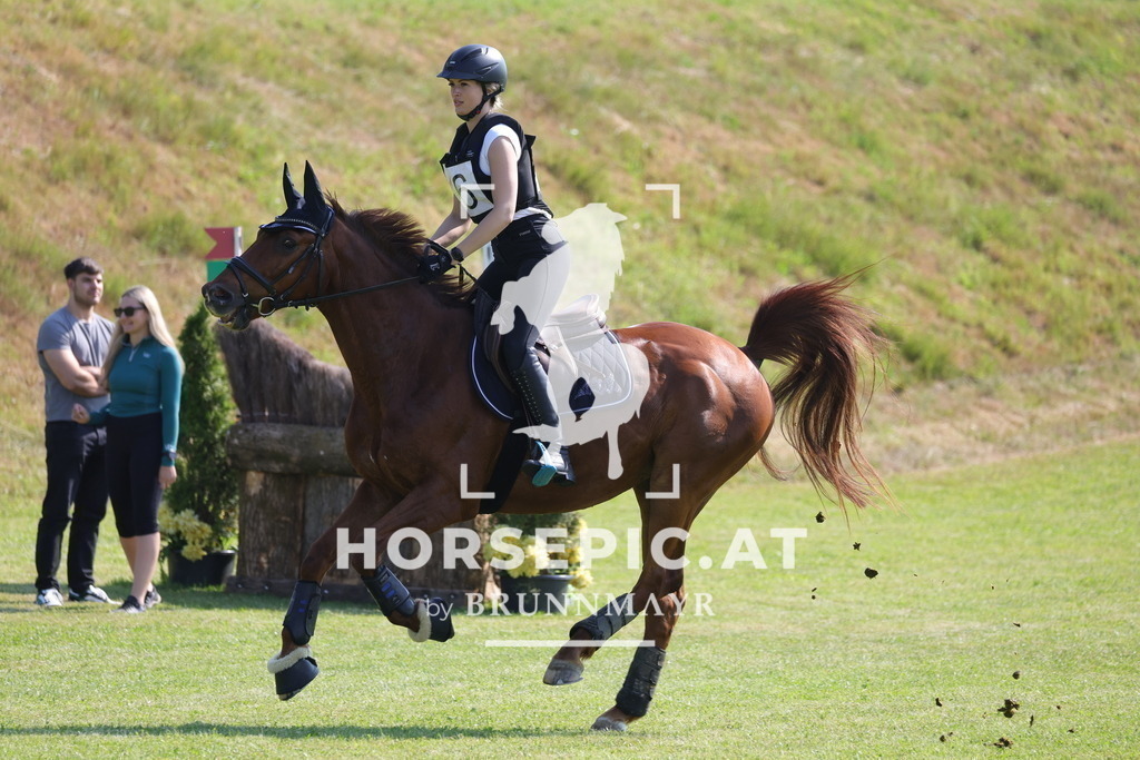 0P6A7542 | Willkommen bei Brunnmayr - Design & Fotografie – Ihrem Spezialisten für Reitturniere und Pferdeveranstaltungen in Oberösterreich, Salzburg und Bayern! Seit über 17 Jahren sind wir leidenschaftlich dabei.