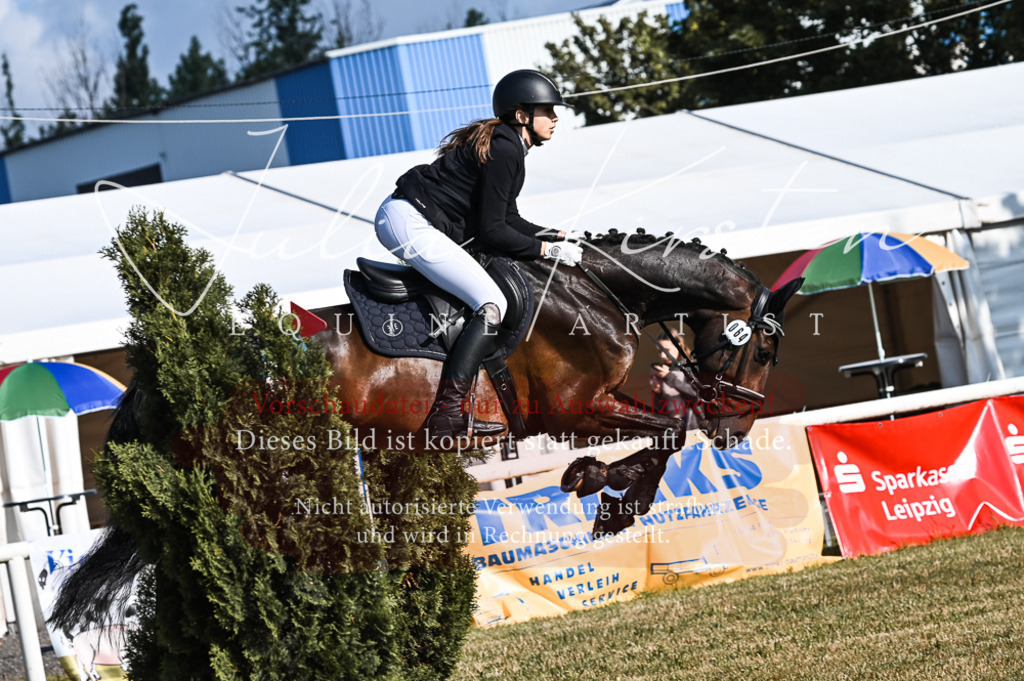 DSC_7578 | Pferde- und Turnierfotografie in Westsachsen. Pferdeportraits, Auftragszeichnungen und intuitive Kunst.