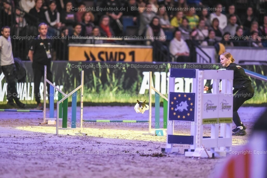 20231115_Dog-Agility_0211_TOMsPiC | Foto: Thomas Hartig