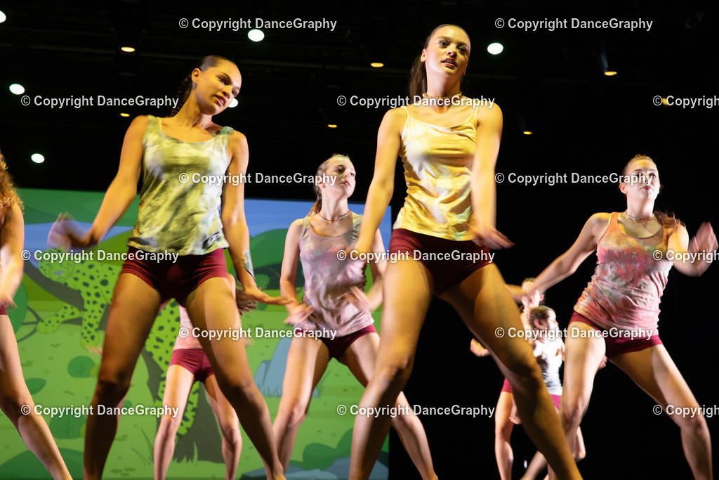 GPHY6364 | DanceGraphy - Realisiert mit Pictrs.com