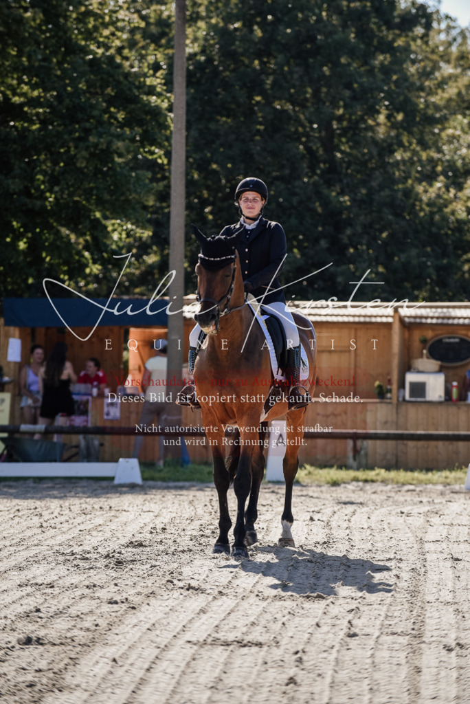 DSC_0295 | Pferde- und Turnierfotografie in Westsachsen. Pferdeportraits, Auftragszeichnungen und intuitive Kunst.