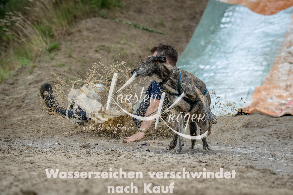 1240_ZZ93967-Bearbeitet | kk-dogfotos
