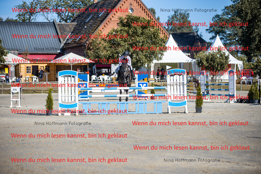 BK1A5955 | Turnierbilder Turnierfotos Nina Hüffmann Turnierfotografie Pferdefotografie Tierzeichnung Haustierzeichnung Pferdezeichnung Hundezeichnung Videograf  - Realisiert mit Pictrs.com