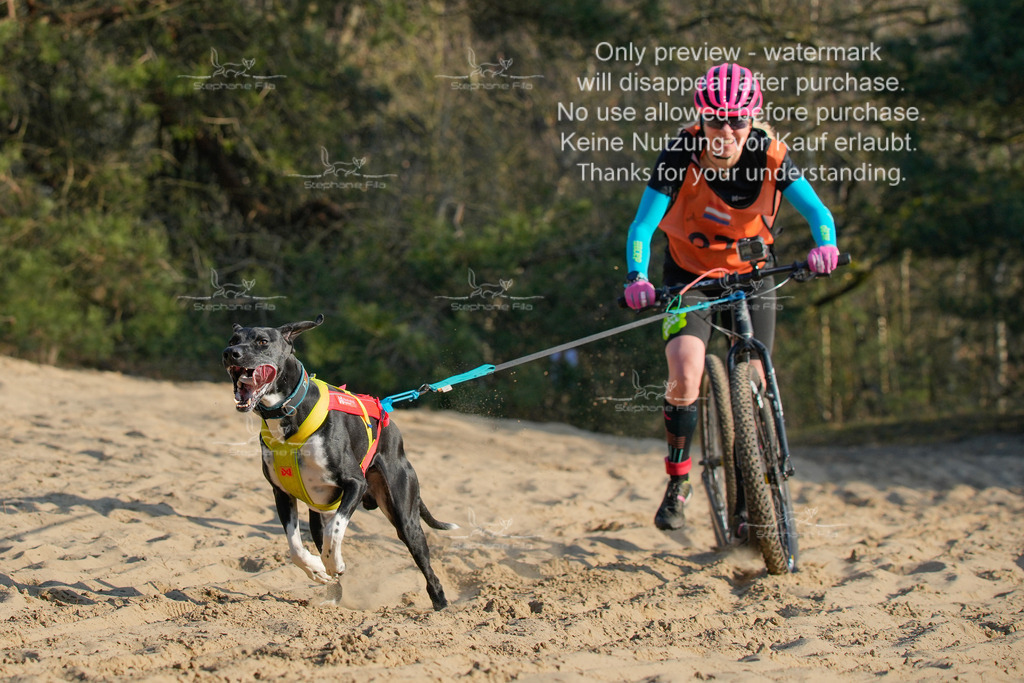 So_Scooter-138 | stephaniefillaphotographie - Realisiert mit Pictrs.com