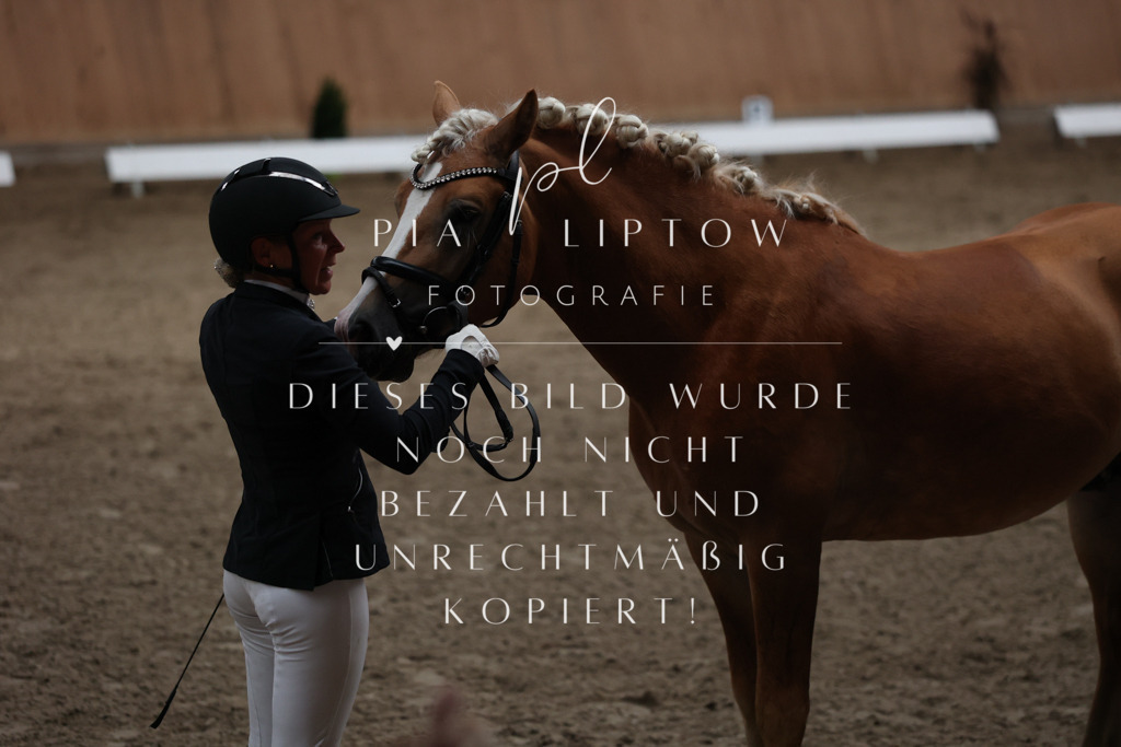 IMGM7071 | pl-fotografie