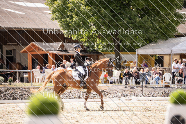 SD_OED_06215 | saradresslerfotografie - Realisiert mit Pictrs.com
