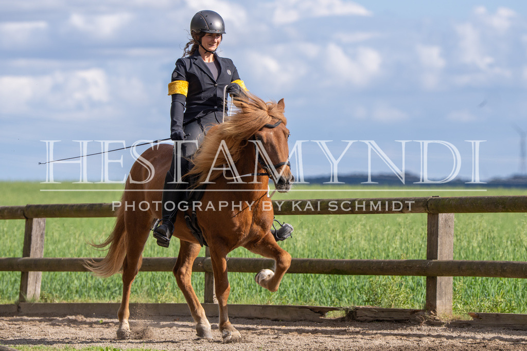 KAI08646 | Ihr sucht einen Fotografen für eure nächste OSI? Ich begleite auch euer Turnier für Islandpferde fotografisch.  - Realisiert mit Pictrs.com