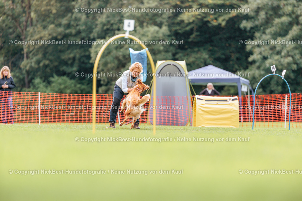 BSP Hoopers-H2-2026-Nickbest-Hundefotografie-TuS Komet Arsten e.V.-5919 | Dein Hund! Dein Moment! Deine Erinnerungen! Hundefotografie in Bremen Blumenthal. Ich fange die besonderen Momente deines Vierbeiners ein – ob Indoor mit Blitzanlage oder in der freien Natur. Sicher dir dein Moment und dein Termin für eure Erinnerungen.