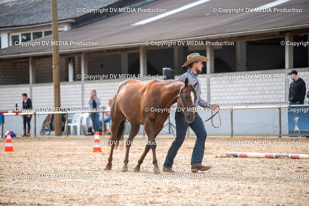 EWP_5537 | dv-media-shop - Realisiert mit Pictrs.com