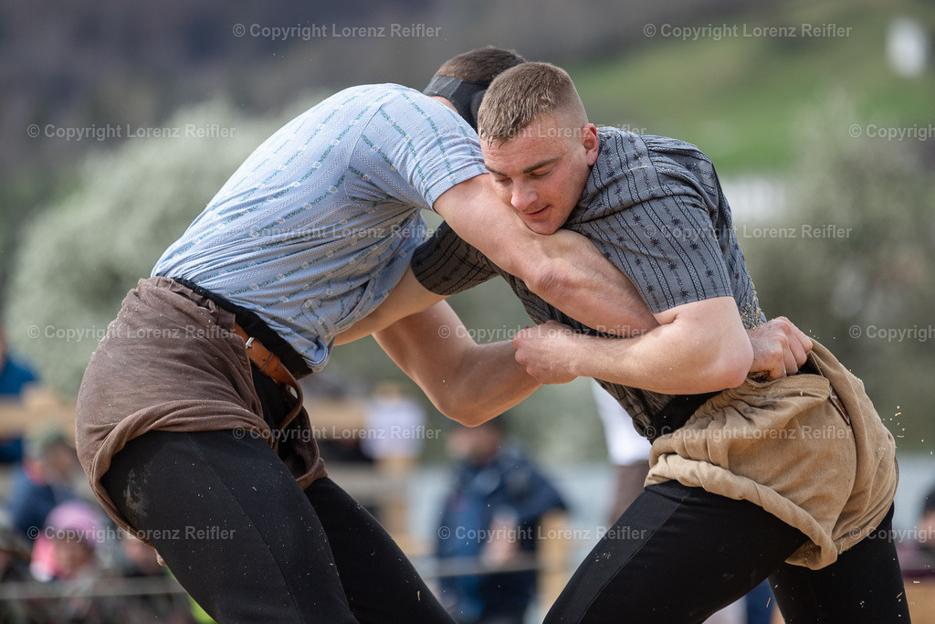 Schwingen -  Rheintal-Oberländer 2024 | Trübbach, 24.3.24, Schwingen - Rheintal-Oberländer.