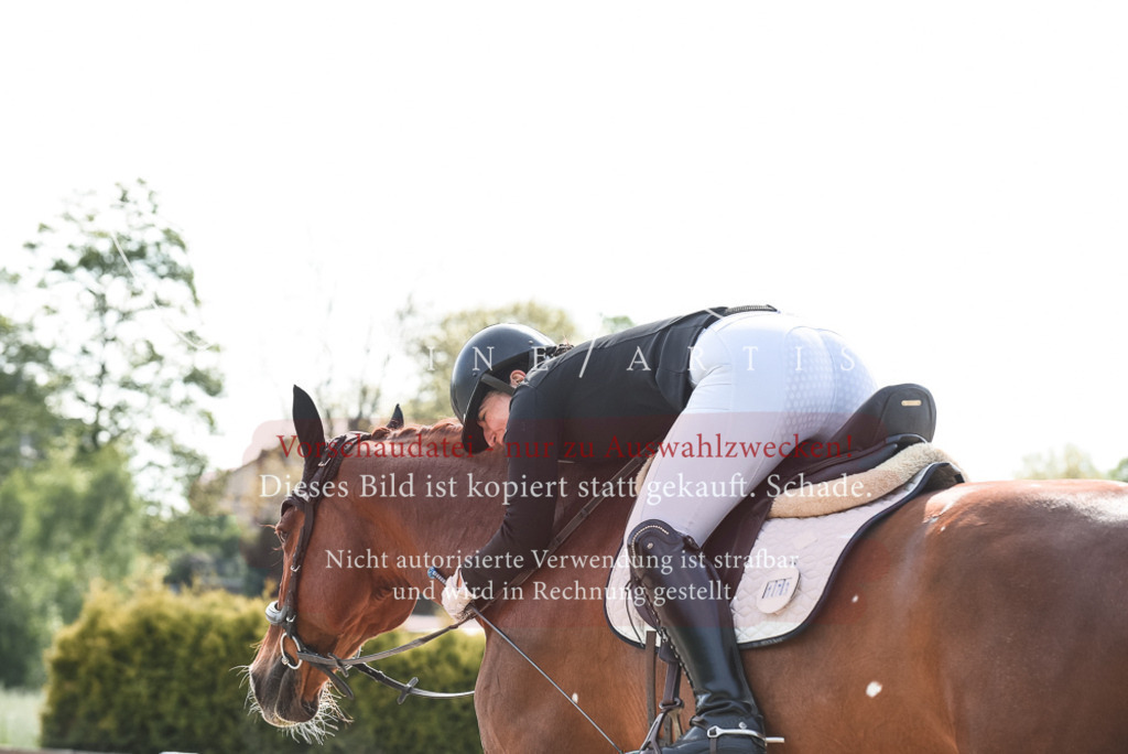 20230518_JK-Röhrsdorf-09-1319 | Pferde- und Turnierfotografie in Westsachsen. Pferdeportraits, Auftragszeichnungen und intuitive Kunst.