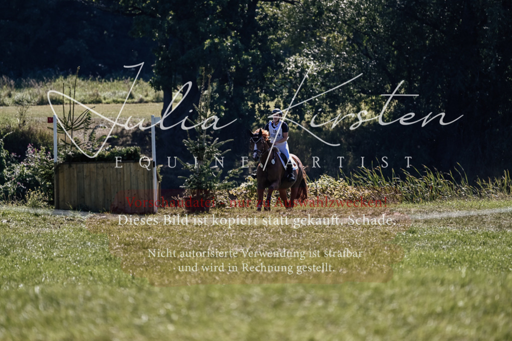 DSC_1874 | Pferde- und Turnierfotografie in Westsachsen. Pferdeportraits, Auftragszeichnungen und intuitive Kunst.