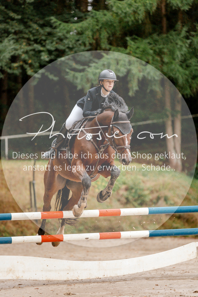 3I6A5572 | Stimmungsvolle Portraits und Reitsportfotografie im Ruhrgebiet und im Münsterland.

Pferdefotografie, Hundefotografie, Tierfotografie, Reportagen, Portraits von Tier und Mensch, Turnierfotografie in Bochum, Recklinghausen, Marl, Haltern am See, Dülmen.. - Realisiert mit Pictrs.com