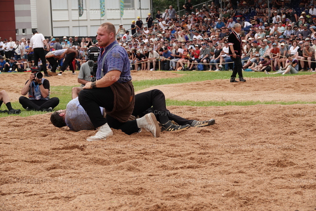 DSC01253 | Schwingen - Realisiert mit Pictrs.com