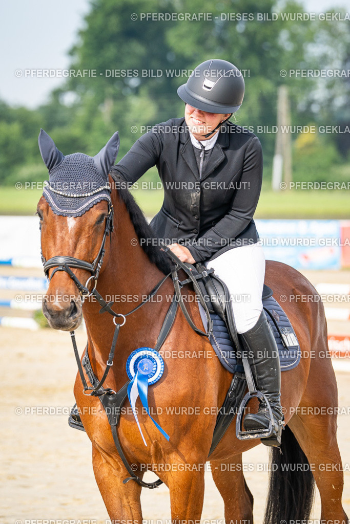 DSC09143 | Pferdegrafie