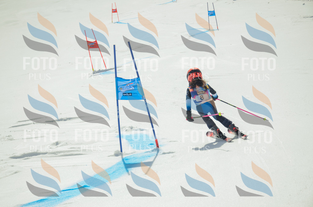 _ELE4517 | holidayphoto