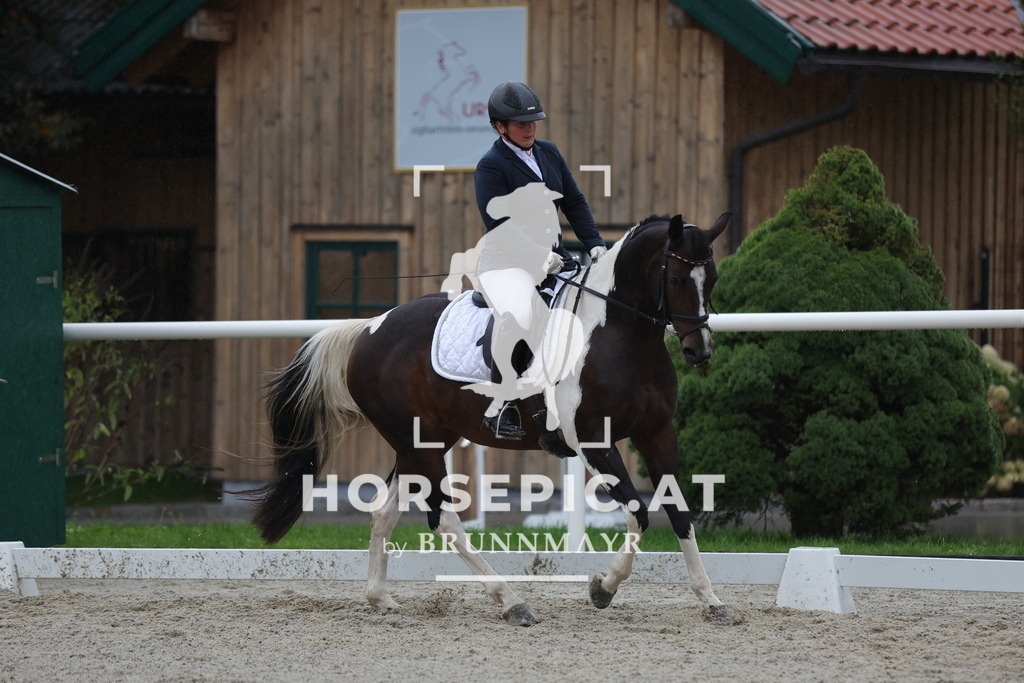 0P6A0838 | Willkommen bei Brunnmayr - Design & Fotografie – Ihrem Spezialisten für Reitturniere und Pferdeveranstaltungen in Oberösterreich, Salzburg und Bayern! Seit über 17 Jahren sind wir leidenschaftlich dabei.