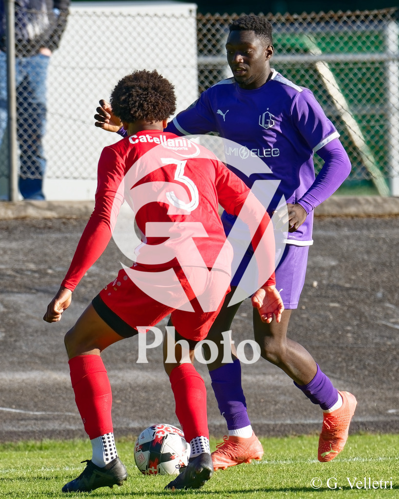 DSC_7792 | Velletri Photo