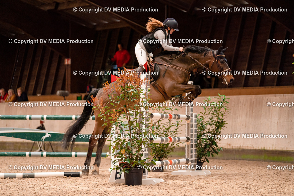 Springen Tag 1-530 | dv-media-shop - Realisiert mit Pictrs.com