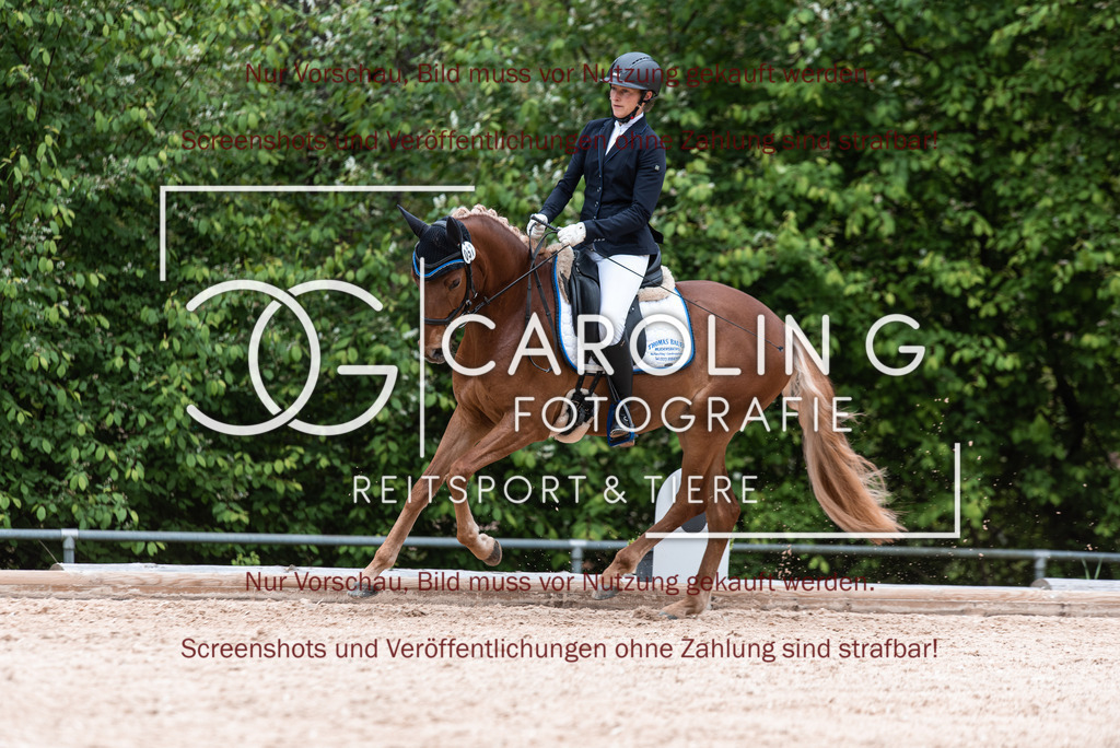 DSC_7019 | Turnierfotografin Carolin Gieschke,Reitsport Turnierfotografie Carolin G Fotografie | Turnierfotos aus Kirchheim/Teck, Esslingen, Stuttgart und dem Bodenseekreis