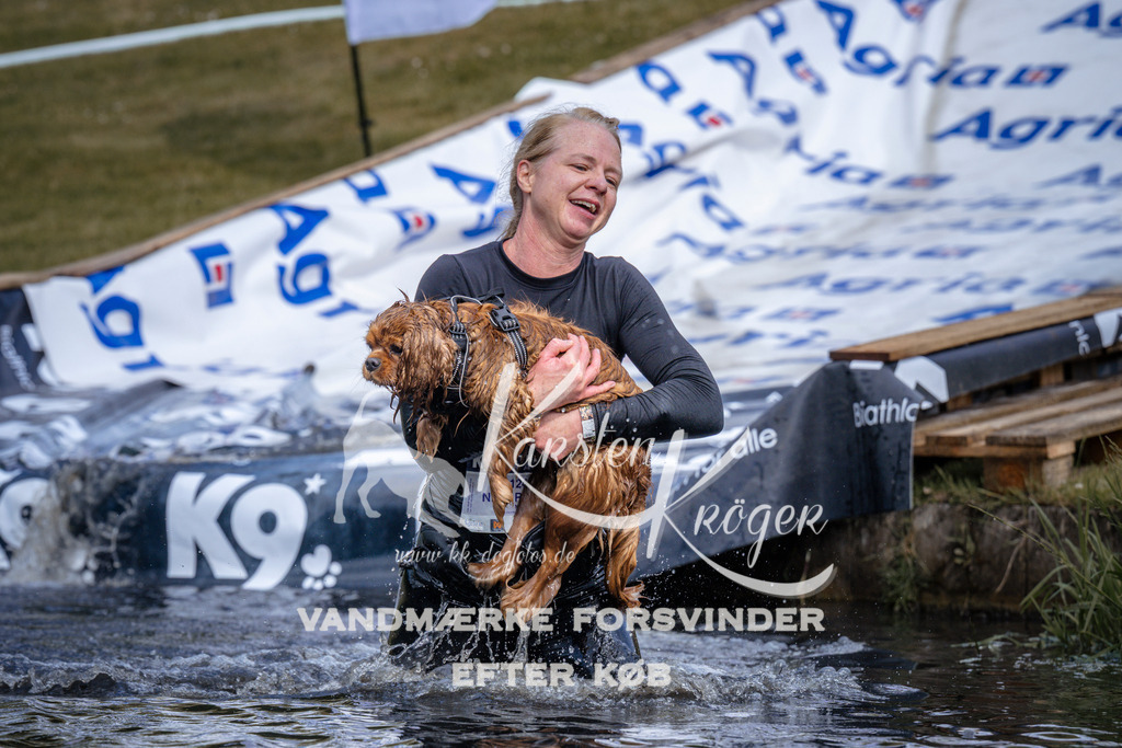 _ZZ910460911 | kk-dogfotos