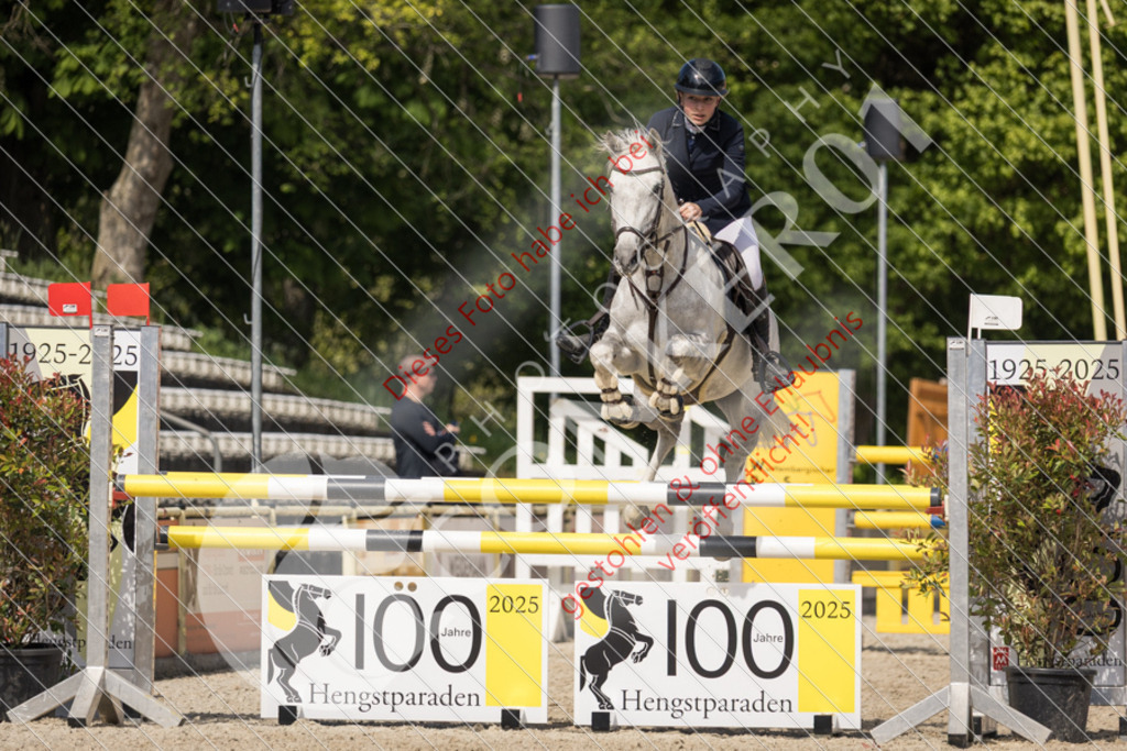 IMG_4410 | Sport-, Event- und Tierfotos in Profiqualität. Einfach auswählen, bestellen und herunterladen. Dein Moment – perfekt festgehalten.