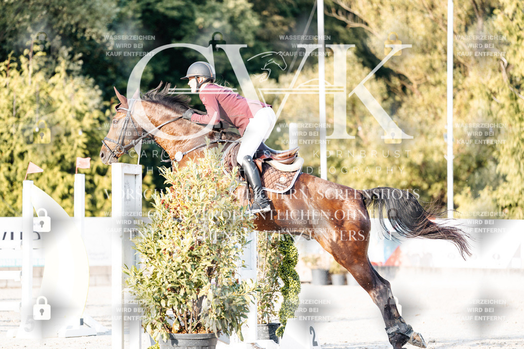 CK903546 | Turnierfotografie Pferdefotografie Trier Rheinland-Pfalz Pferdesport Reitsport Tierfotografie Sportfotografie Pferdevideo Pferdevideografie Equestrianvideography equestrianphotography  - Realisiert mit Pictrs.com