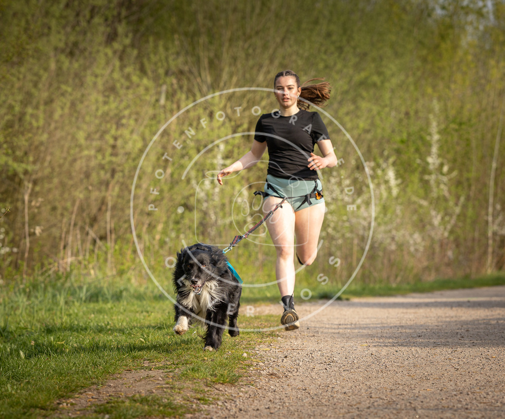 Pfotenfotografie_DV3A4652 | Hundefotografie, Tierfotograf, Pfotenfotografie, Fotoshooting Hund, Hunde Portrait, Hundesport, Hundeportraits, Heideshooting, Hunde, Sportfotograf, Hundefotograf, Turnierhundsport, THS,  - Realisiert mit Pictrs.com