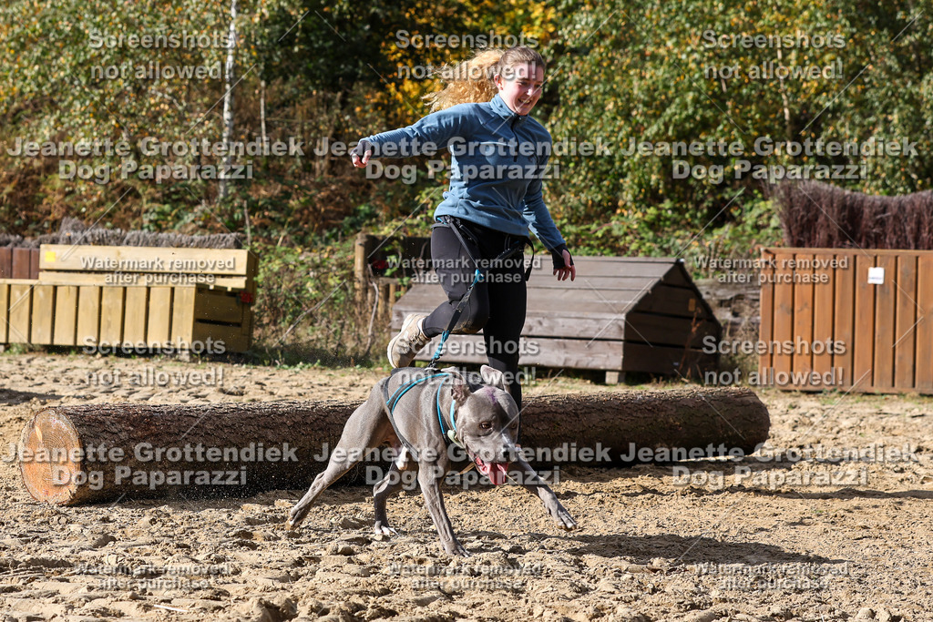 Dog Paparazzi - Strongdog 10-25-4988 | Dog Paparazzi Jeanette Grottendiek Fotografie & Videografie - Realisiert mit Pictrs.com