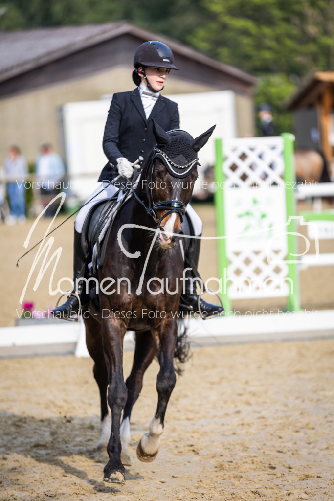 Donop24-A-Dre-120 | MomenTaufnahmen Pferdesportfotos