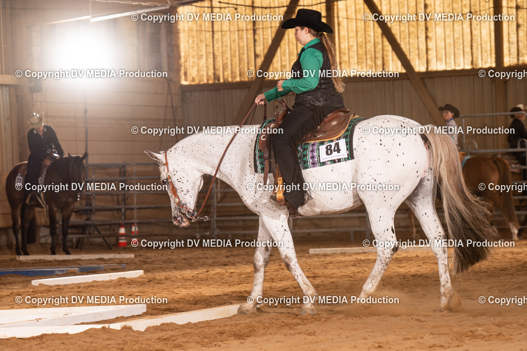 NID00562 | dv-media-shop - Realisiert mit Pictrs.com