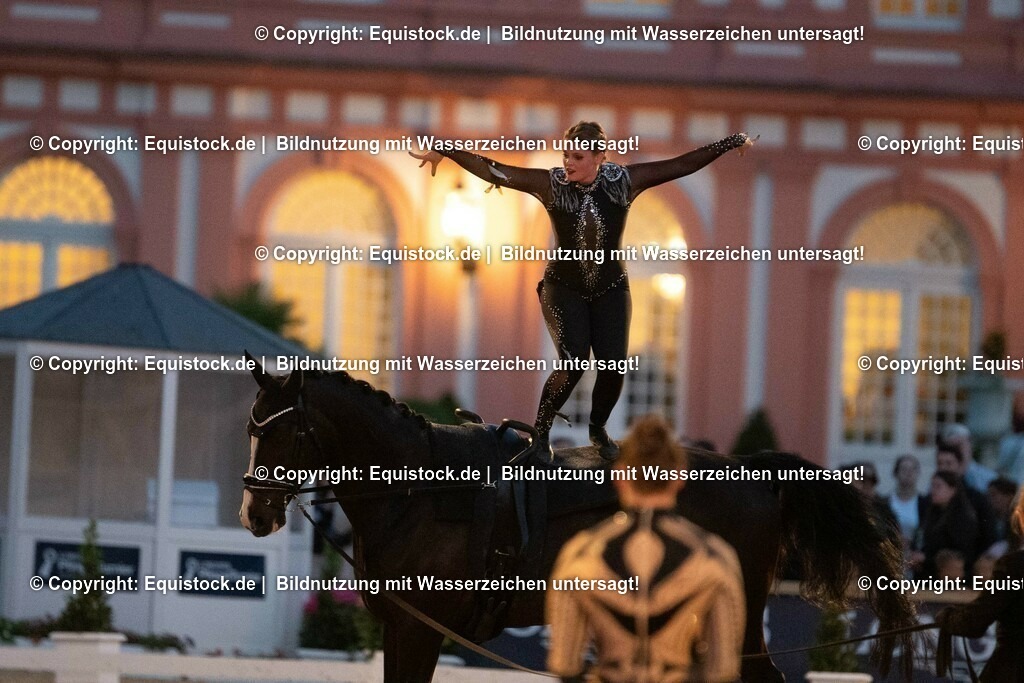 20230527_Voltigieren_NASPA_Flutlicht_0593 | equistock