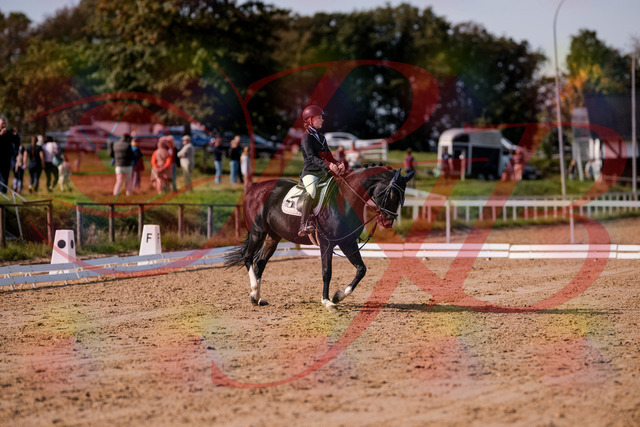 2026_10_03_Siefer-Hof_121534_Z81_17033844 | Professionelle Reitsport-, Turnier- und Eventfotografie von Robert Broda. Galerien mit ausgewählten und bearbeiteten Bildern direkt online ansehen und bestellen.