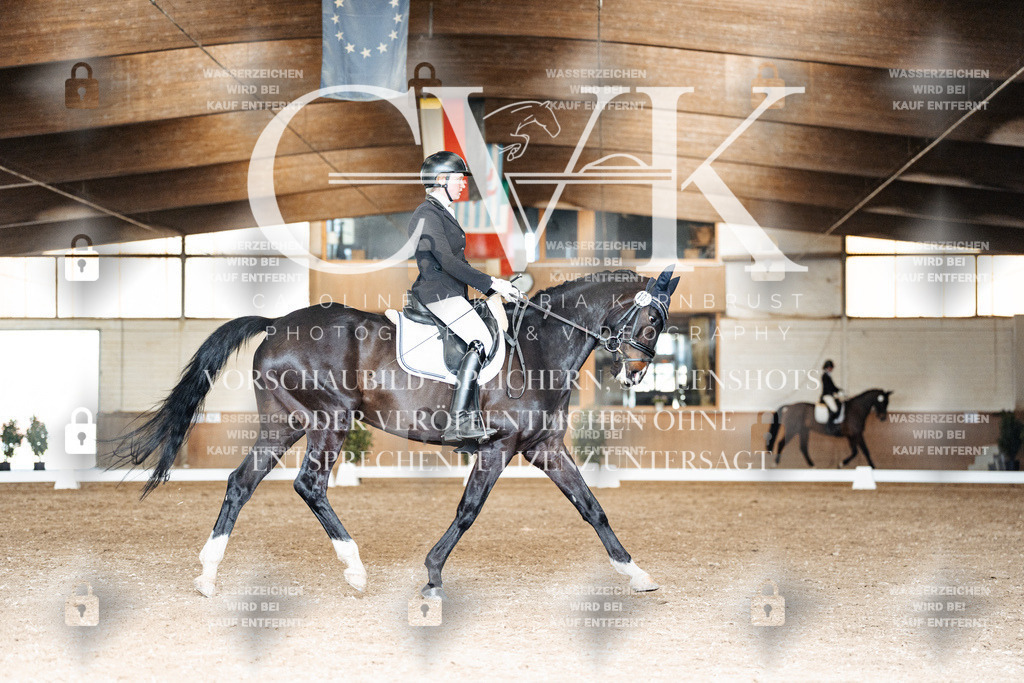 CK901836 | Turnierfotografie Pferdefotografie Trier Rheinland-Pfalz Pferdesport Reitsport Tierfotografie Sportfotografie Pferdevideo Pferdevideografie Equestrianvideography equestrianphotography  - Realisiert mit Pictrs.com