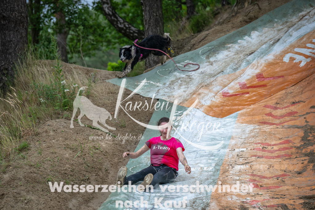 1618_ZZ90797-Bearbeitet | kk-dogfotos