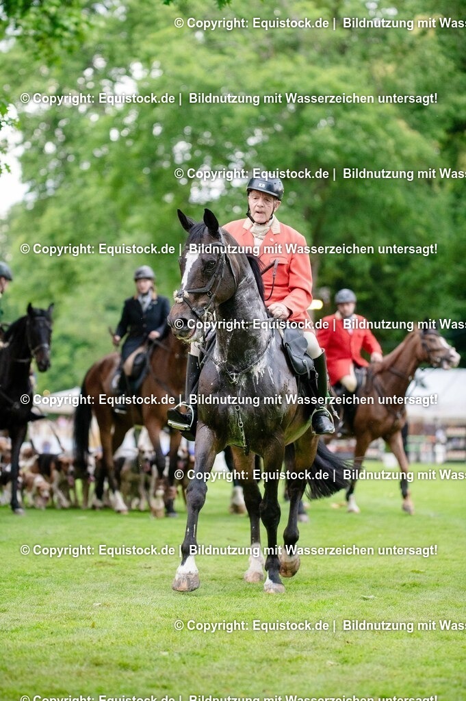 20250606_Lange-Pferdenacht_0524 | Foto: Thomas Hartig