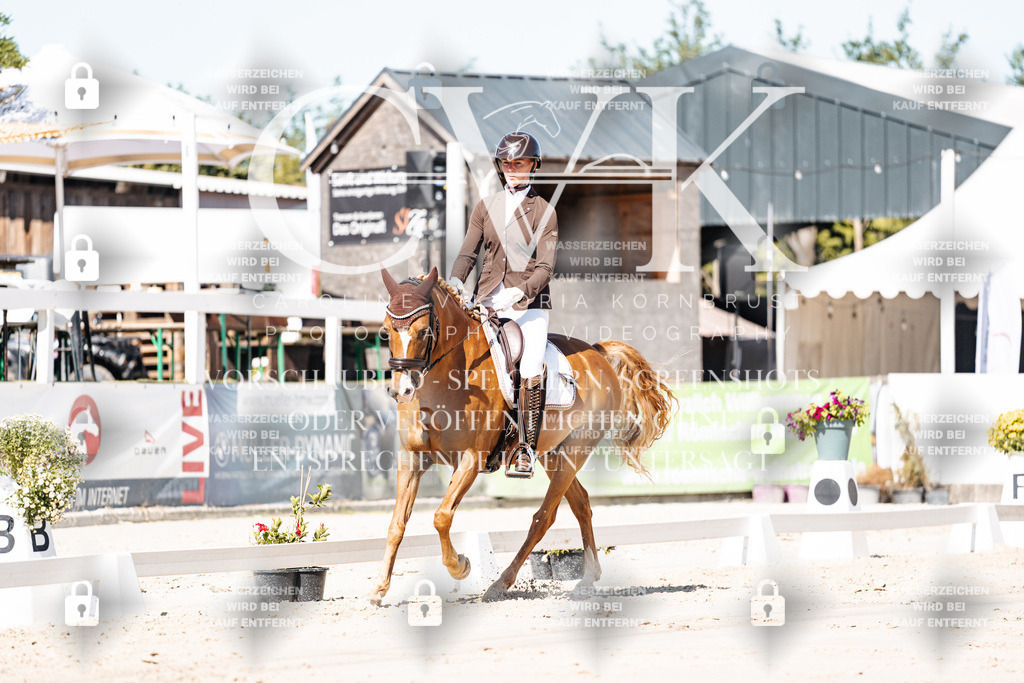 CK909039 | Turnierfotografie Pferdefotografie Trier Rheinland-Pfalz Pferdesport Reitsport Tierfotografie Sportfotografie Pferdevideo Pferdevideografie Equestrianvideography equestrianphotography  - Realisiert mit Pictrs.com