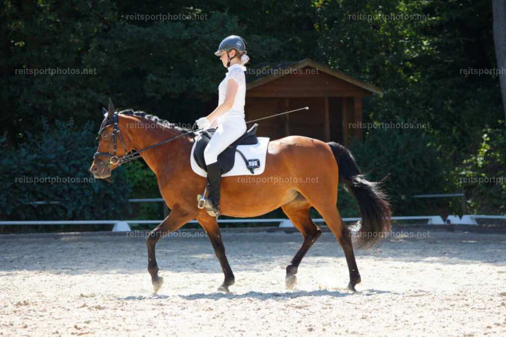 JHE_7654 | JoYa Fotografie - Realisiert mit Pictrs.com