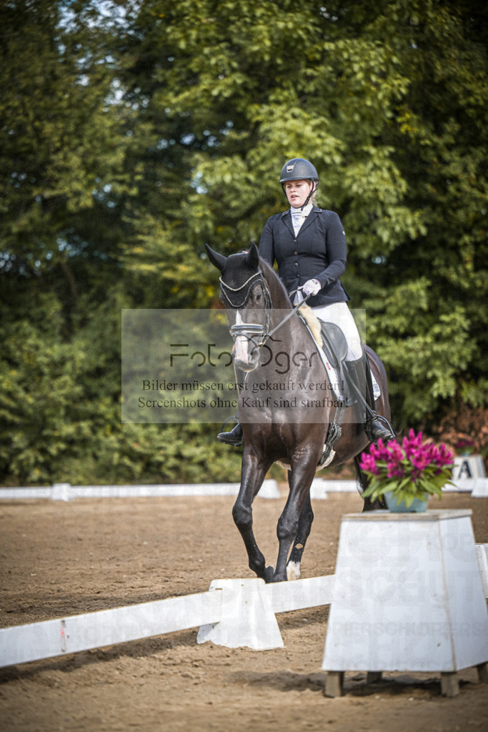 DOS_0249 | Entdecke hochwertige Reitturnierfotos von Foto Oger. Professionell, emotional und authentisch – jetzt Lieblingsmomente im Shop bestellen.Deutschlandweite Turnierfotografie. - Realisiert mit Pictrs.com